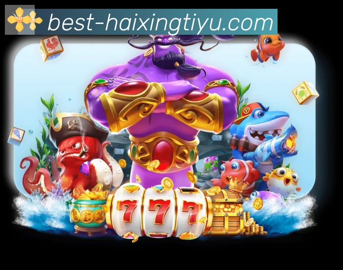 海星体育直播发展历程